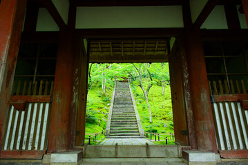 京都嵐山の嵯峨野を散策する