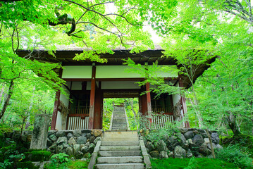 京都嵐山の嵯峨野を散策する