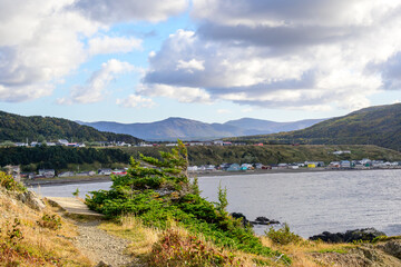 Cliffside hiking trail along the Atlantic coast near Trout River in Gros Morne National Park, showing rocky shoreline, ocean water, and grassy headlands in fall.