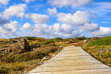 Hiking path leading to a dramatic headland near Trout River in Gros Morne National Park, with coastal headland, ocean horizon, and evening sky during the fall season.