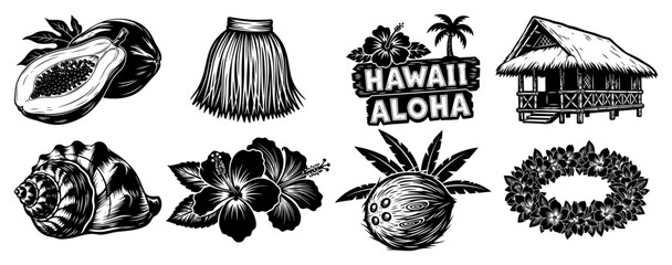 Tropical hawaii summer vacation elements with hibiscus flowers and fruits © AnjaliDesai