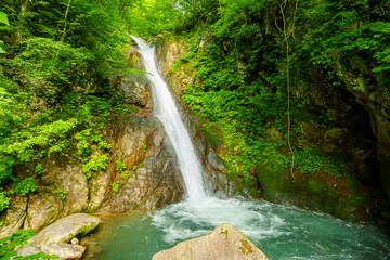 250620秋山郷大瀬の滝