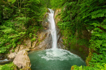 250620秋山郷大瀬の滝