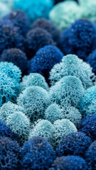 Obraz premium Cool Blue Moss Macro Background with Organic Natural Texture Wallpaper