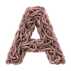 earthworm letter A - Capital 3d earthworm font isolated on white background. This alphabet is perfect for creative illustrations related to gardening, compost, horror concept. Generative AI