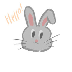 Obraz premium rabbit