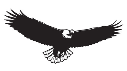 Obraz premium A bald eagle in flight with its wings spread wide silhouette