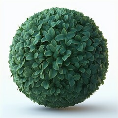Spherical arrangement of dense green leaves forming a perfect ball shape against a white background