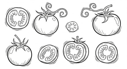 Artistic Tomato Doodle Sketch Symbol Set with Hand Drawn Outline Vector Icons © MdtTahomidHossain