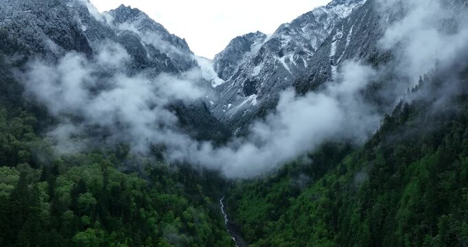 Aerial footage of beautiful grassland with forest and snow capped mountains 