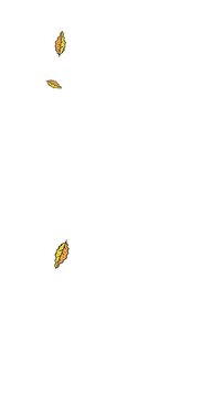 animation of plants and falling leaves