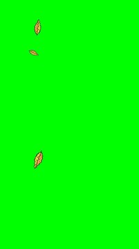 green screen video animation of plants and falling leaves	
