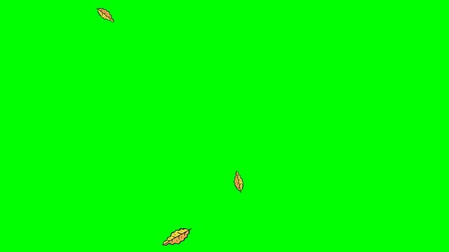 green screen video animation of plants and falling leaves	
