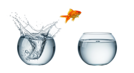 Small vibrant orange goldfish mid-air leap from dynamic splashing glass fishbowl to serene one, frozen droplets, bubbles, transparent studio background, concept of freedom and new beginnings