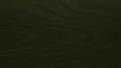Dark green abstract texture background with subtle motion blur and soft gradient tones, modern minimal backdrop ideal for design, banners, presentations, and creative concepts