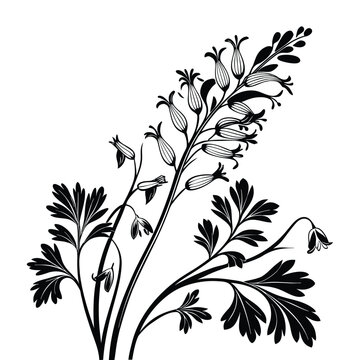 Hand drawn black silhouette of bellflower branch with drooping blossoms and lobed foliage botanical vector art