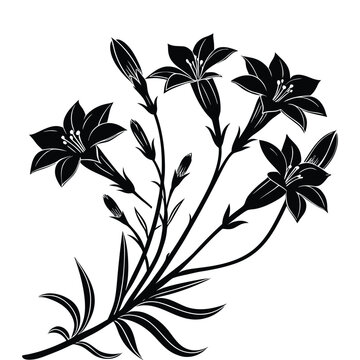 Silhouette bouquet gentian flower isolated on transparent background beautiful decorative floral element in black color