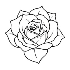 Beautiful hand drawn rose flower outline vector illustration for coloring page and romantic wedding decoration