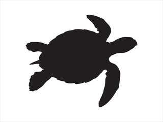 Obraz premium Turtle marine animal icon. Sea turtle silhouette, vector illustration of turtle