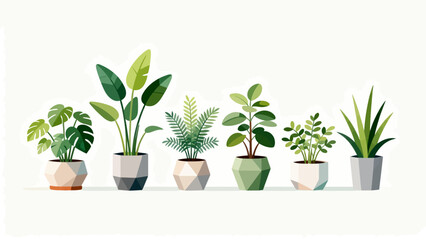 Fototapeta premium Potted plants in geometric pots