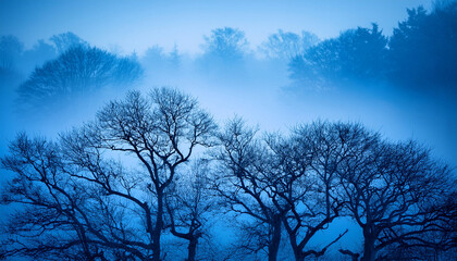Silhouetted Bare Trees Are Visible In A Misty Monochromatic Blue Landscape The Branches Are Intricate Against A Bright