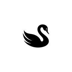 Black swan silhouette bird water 