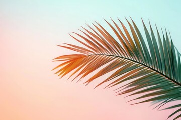 Fototapeta premium Single palm frond arching across a soft pastel gradient background with warm sunlight glow, tranquil tropical minimalist mood