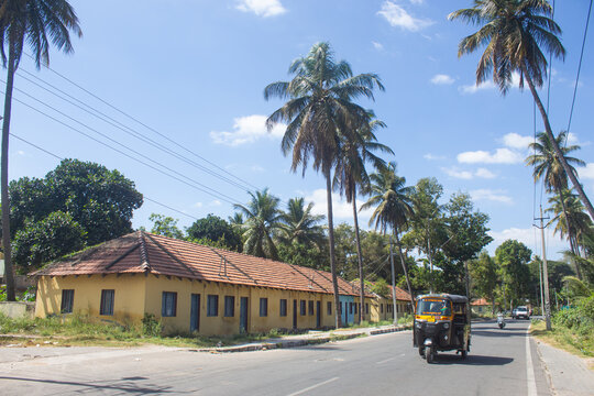 India, Karnataka, Mysuru, Beautiful Traditional Houses of Karnataka With Coconut Tree's Around Roadside of Srirangapatna. 