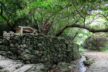 南城市玉城の浜川御嶽 © 安村直樹