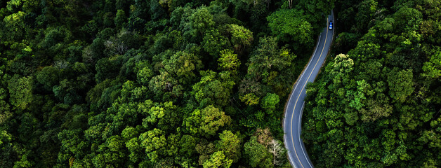 aerial view of a winding asphalt road cutting through dense green forest. Scenic mountain roadway...