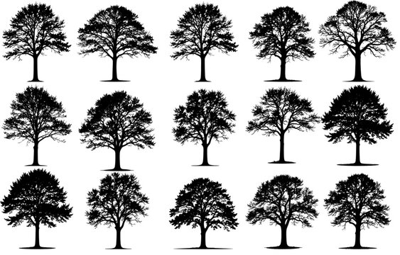 Architectural Entourage Tree Silhouette