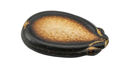 A blurry image of a seed or pit isolated on transparent background