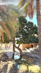 Silent Mysterious Passage, Old Corridor With Secrets Hidden, Winding Pathway Through Decayed Stone Structure, Crunbling Corridor Winding Through Old Ruins With Scattered Debris And Atmospheric Shadows
