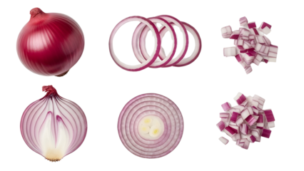 Red Onion in Various Forms: Whole, Half, Sliced Rings, and Diced isolated PNG with Transparent Background