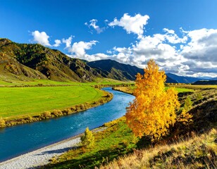 Stunning autumn mountain landscape with vibrant yellow birch tree alongside winding turquoise river flowing through green valleys under bright blue sky