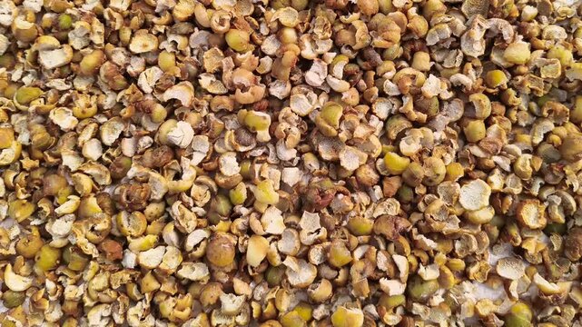 Sun dried organic Indian Gooseberry slices for natural Vitamin C supplement and Ayurvedic herbal medicine