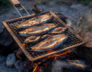 Grilled Fish Fillets on Wire Mesh Over Fire