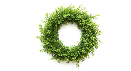 Green Boxwood Wreath Circle Round Evergreen Foliage Garden Plant Decoration Isolated White Background Natural Minimalist