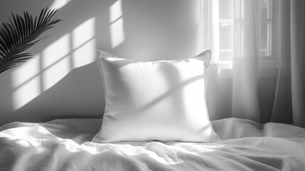 White square pillow on rumpled bed with sheer curtains and window light casting grid shadows, palm frond silhouette, calm serene morning interior