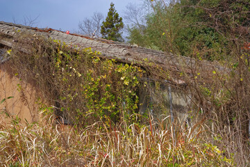 老朽化が進んだ限界集落の廃屋