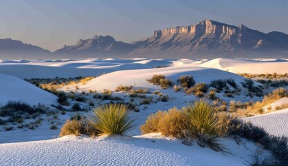 Vast expanse of white sand dunes stretches towards a backdrop of dramatic mountains, bathed in soft morning light.