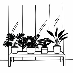 Indoor plant collection on shelf