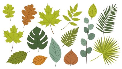 Flat Design Assorted Tropical and Temperate Forest Leaf Illustration Set