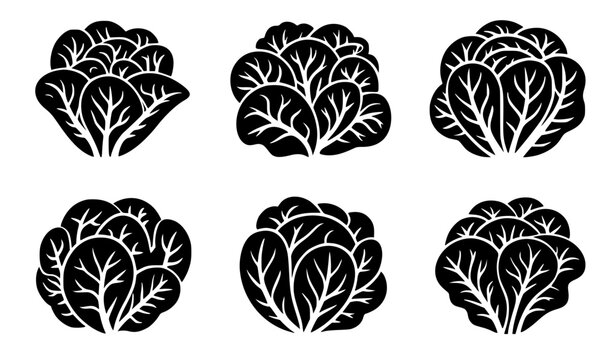 Set of Black Silhouette Icons Featuring Fresh Cabbage Heads in Various Styles, Whole Cabbage Illustrations with Detailed Leaves, Minimalist Vector Graphic Pack for Healthy Vegetables, Organic Farming