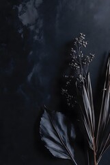 Dark composition of dried botanical elements on black textured surface background