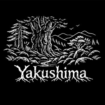 Ancient Yakushima cedar forest landscape vector illustration