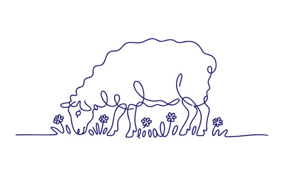 Continuous line drawing of sheep grazing in a field of flowers