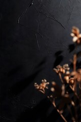 Dried brown plants with shadows on dark textured background, creating subtle frame