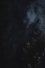 Dried floral arrangement in dark vase against textured black background for copy space