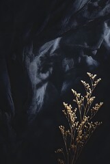 Dried delicate white flowers bouquet against dark textured draped fabric background dramatic contrast